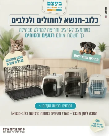 2026חדש5555 copy