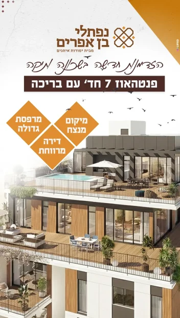 נפתלי copy